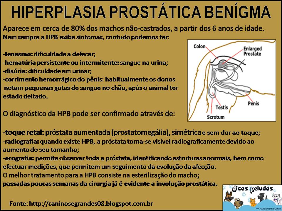La prostatitis juvenil cs es y cm es causada